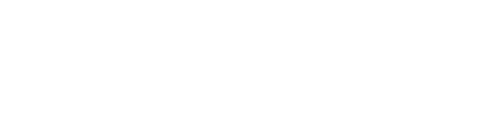 Nevelyn Hope Link Initiative